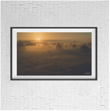 Sunrise painting the misty horizon