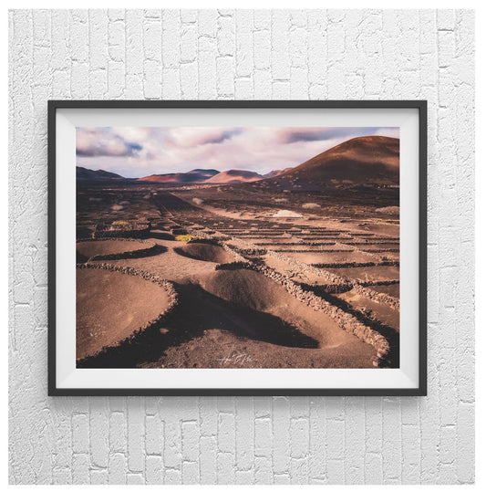 Vineyards in Volcanolands