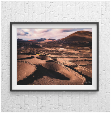 Vineyards in volcanolands