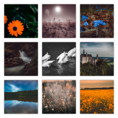 Nature Value Pack: Collection of 60 presets