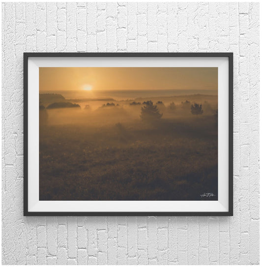 Sunrise painting the misty horizon